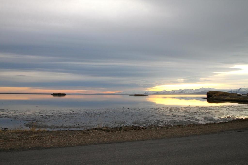 Hvammur Apartments By The Harbour Höfn Buitenkant foto