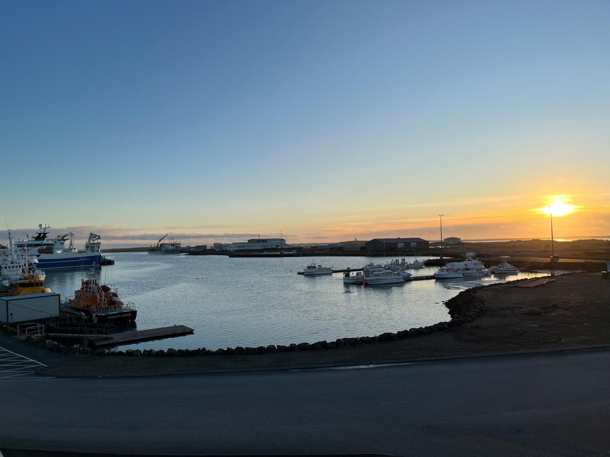 Hvammur Apartments By The Harbour Höfn Buitenkant foto