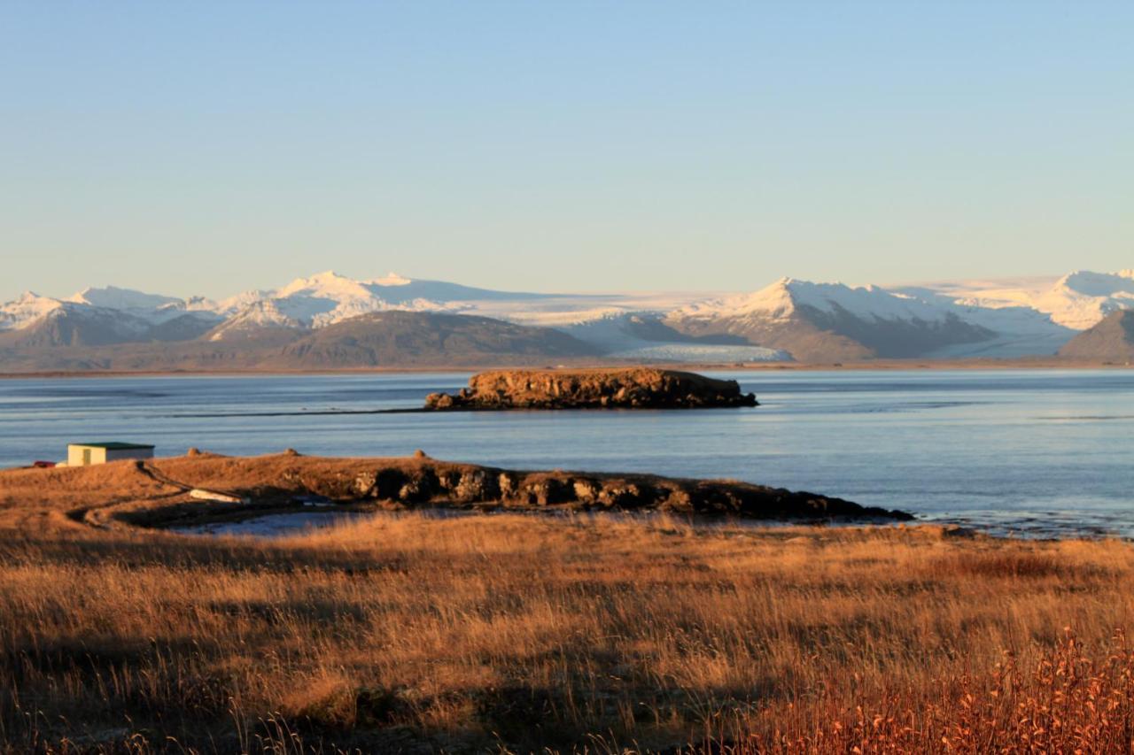 Hvammur Apartments By The Harbour Höfn Buitenkant foto
